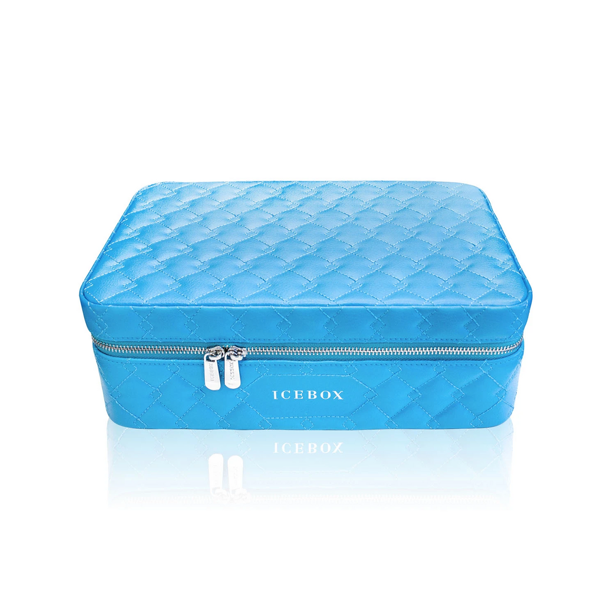 Icebox Large Traveler Case in blue, 4-watch capacity, exterior view
